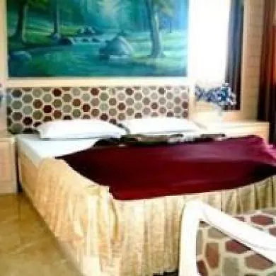 Oyo 11695 Hotel Auckland Shimla